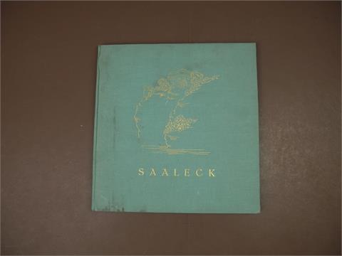 1 Buch "Saaleck"
